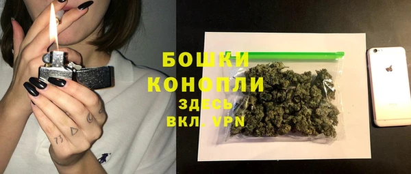 ПСИЛОЦИБИНОВЫЕ ГРИБЫ Аркадак