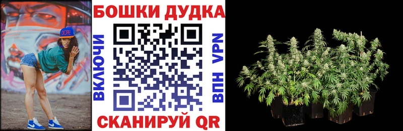 Купить где  Мегион  Бошки Шишки тримм 